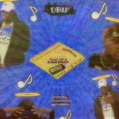 The Notorious Vellie