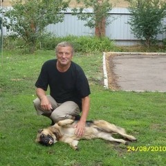 Валерий Отрошко