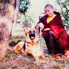 Gyamtso lama