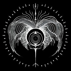 Divinorum Studios