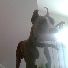 Destinee loves_ dion❤