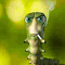 Abood (remake)