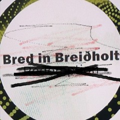 Bred In Breiðholt