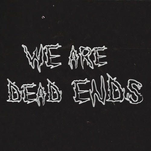 WE ARE DEAD ENDS’s avatar