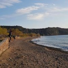 Denis Danciu