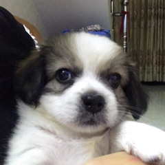 Trần Lê Minh Thuý