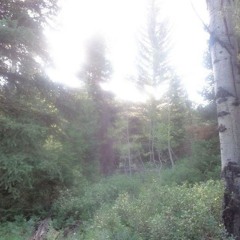 riese