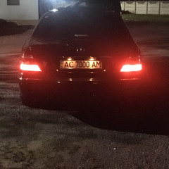 Damirchik7000