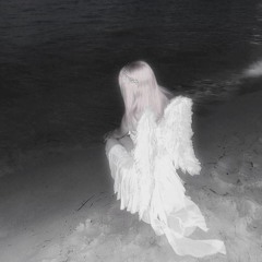 whykr1n.