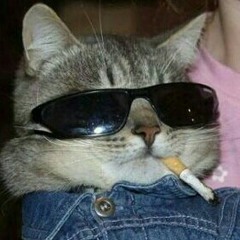 hey