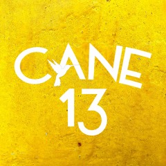 cane13drinks