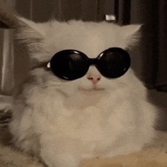 Cheezyjalenpenoglizzy