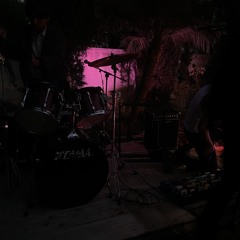 Dandeliontea