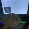 hoesluvdakota69