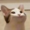 Matygames