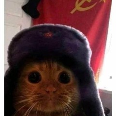kia the marcher