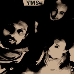 Y M S