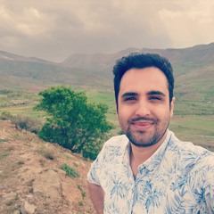 Hafez Narkhou