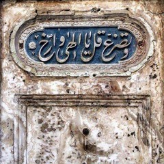 طير شَلوىٰ