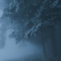 Александр Фадеев