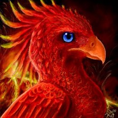 SmG Phoenix
