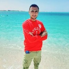 Said Elmasry