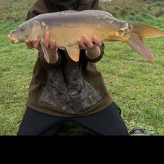 callum stoddart