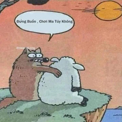 Chi Chi..