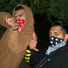 Amirlotfii