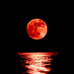 Mel Moon