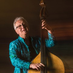 Robert J Perry