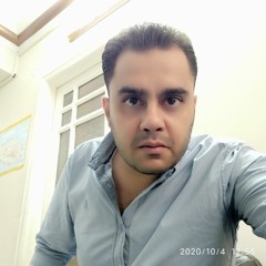 Mina Timothawes