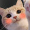 The_cutest_cat_ever