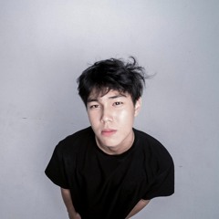 ST3VN