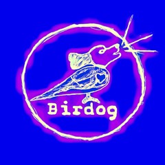 Birdog Records