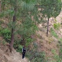Syeda Bint Naqvi
