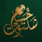 houssam.shaltout