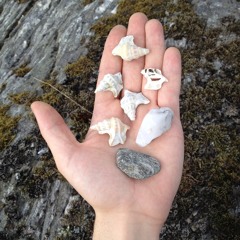 Rasmus Nikanor Lundgren