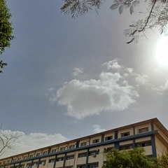 أغْصَانٌ شَجَرٌ الجَنَّة🖤