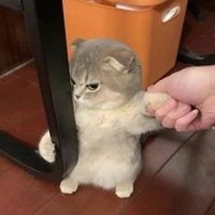 김민석