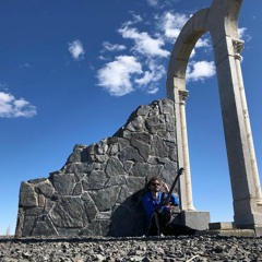 The Wolf of Transilvania