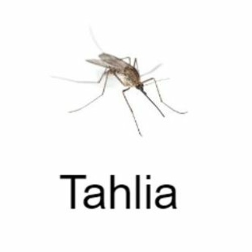 Tahlia!!! ꉂ(ˊᗜˋ*)♡’s avatar