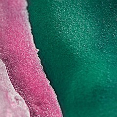 ПОЛИНА ИЛЬЧЕНКО