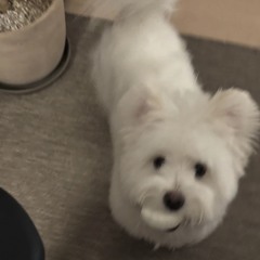 수민