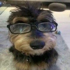 berbosta