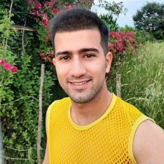 reza fardi