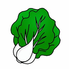 BokChoi