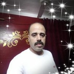 محمد الدولى