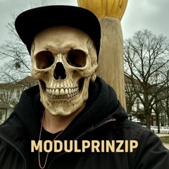 modulprinzip