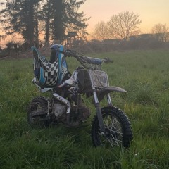 harry hamill 🇨🇮🇨🇮